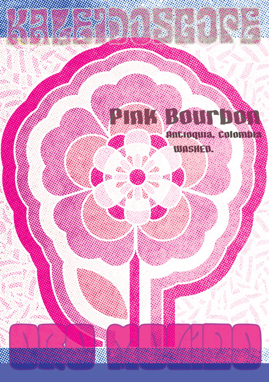 Colombia - Pink Bourbon - 250g